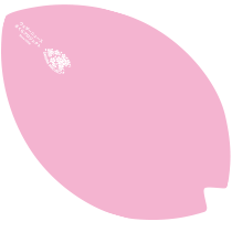 さくら満喫・お花見セット